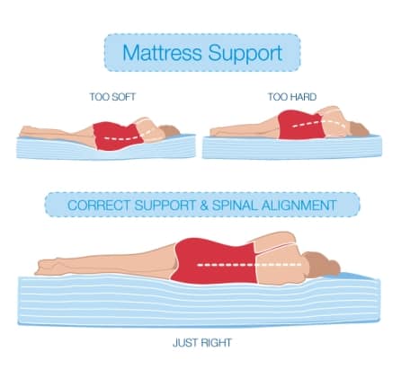 mattress support and spinal alignment