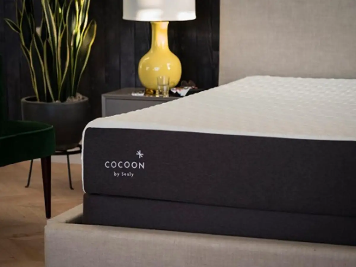 reviews for cocoon mattress