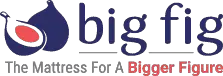 Bigfig Logo