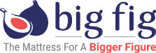 Bigfig Logo