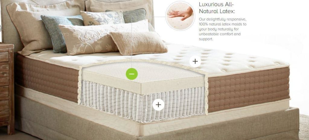 Ecoterra Mattress Review