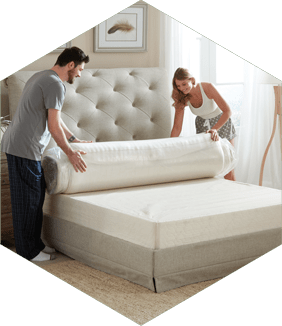 Ecoterra Mattress Review