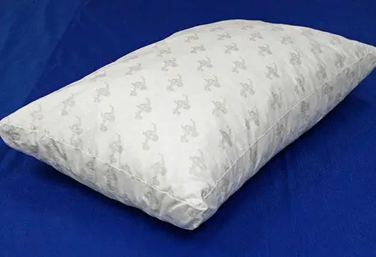 Best Pillow for Back Sleepers