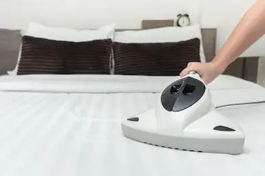avocado cleaning