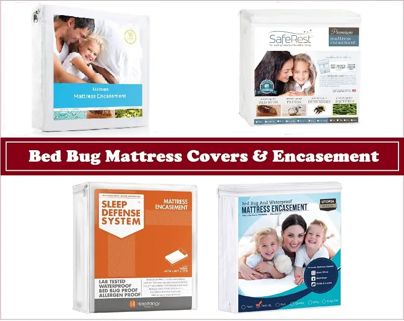Bed Bug Mattress Covers & Encasements