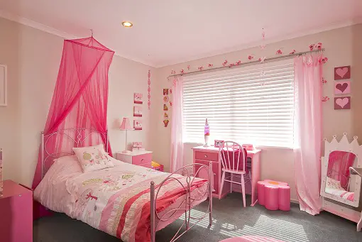 Pink Traditional Comforter Sets