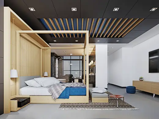 Sleek Modern Canopy Beds