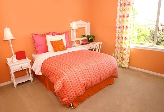 Orange Traditional Comforter Sets