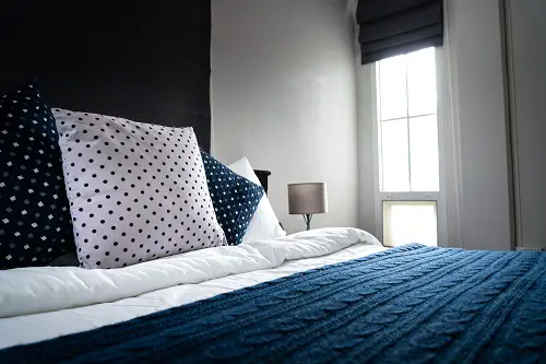 Blue & White Comforter Set