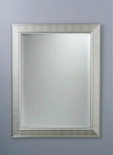 Metallic Frame Mirror