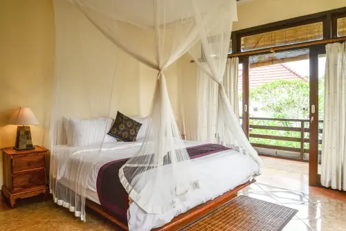 Canopy Beds with Transparent Bed Hangings