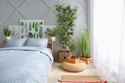 Beach House Bedrooms Add Lots of Plants