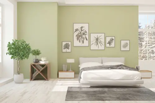 Scandinavian Bedrooms in Khaki Green with Accent Wall