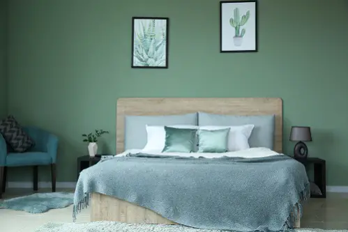 Transitional Bedrooms in Khaki Green with Painted Walls