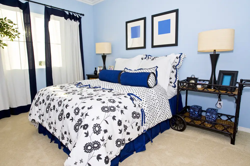 Traditional Classic Bedrooms in Ice Blue