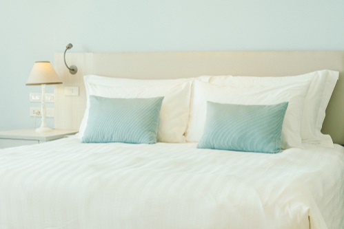 Transitional Bedrooms in Ice Blue with Accent Pillows 