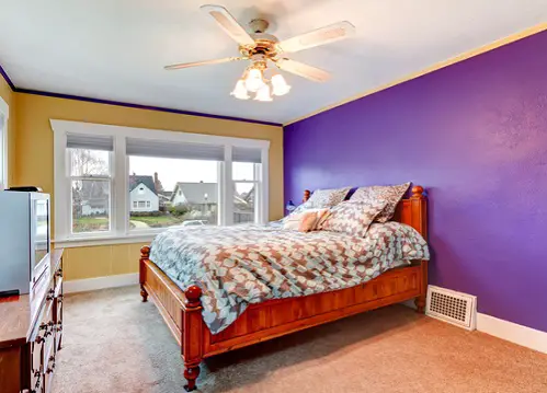 Rustic Bedrooms in Lemon Yellow & Purple