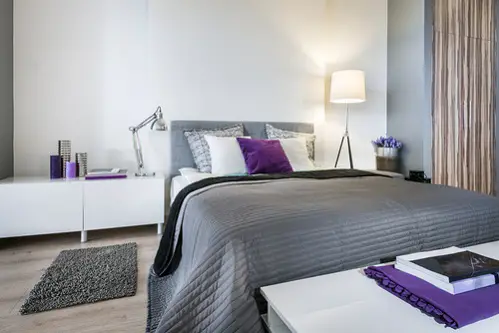 Transitional Bedrooms in Light Gray with Purple Accents