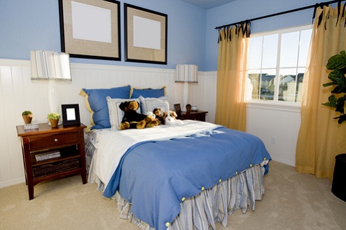 Warm & Beautiful Traditional Bedrooms in Ice Blue