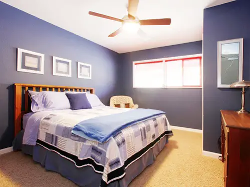 Traditional Dark Bedrooms in Cobalt Blue