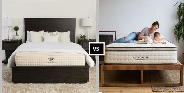 avocado mattress vs plushbeds